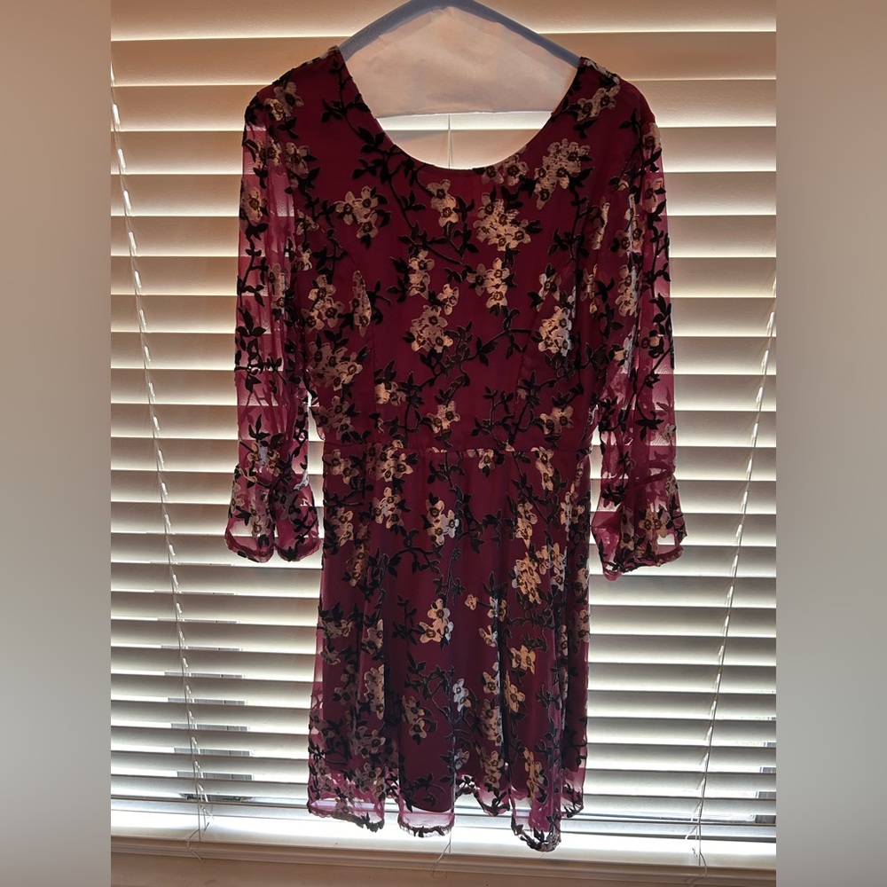 Collective Concepts Sommer Burnout Velvet - STITCH FIX Dress Women’s XS